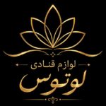 اوگو اصلی